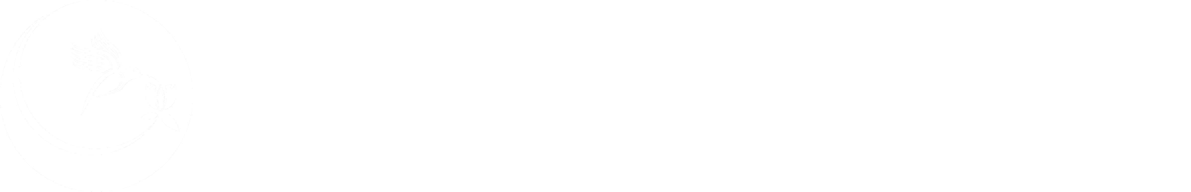 Hummingbird Holistic Center